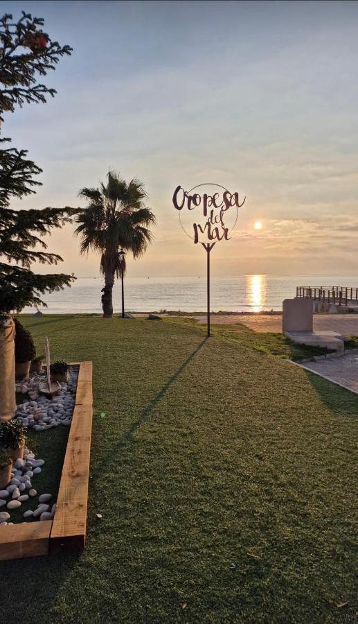 Las Terrazas - Primera Linea De Playa Con Netflix, Disney, Movistar Con Todo El Futbol, Series, Cine Y Prime Video Oropesa del Mar Zewnętrze zdjęcie